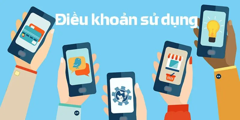 Những lý do mà thành viên nên tìm hiểu về điều khoản sử dụng MBLive